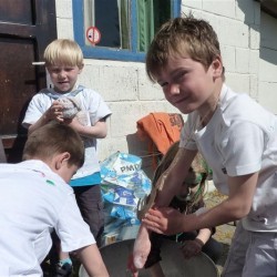 Koala 037 - Scouts en Gidsen Zaventem 